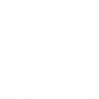 مركز الاسنان في الدمام